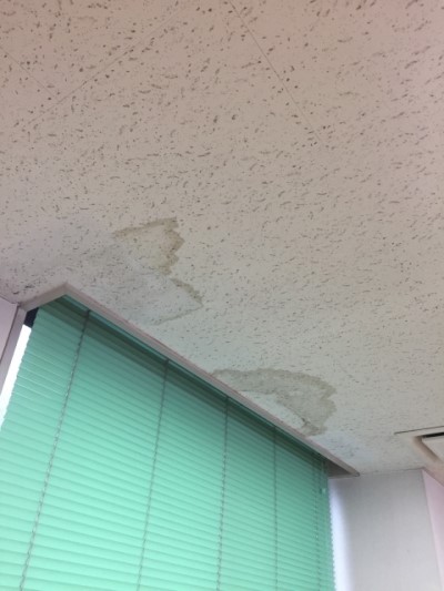 天井の雨漏りの跡