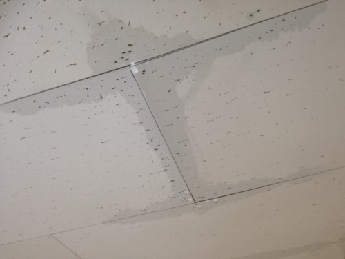 中古住宅の室内の天井にある雨漏りの跡